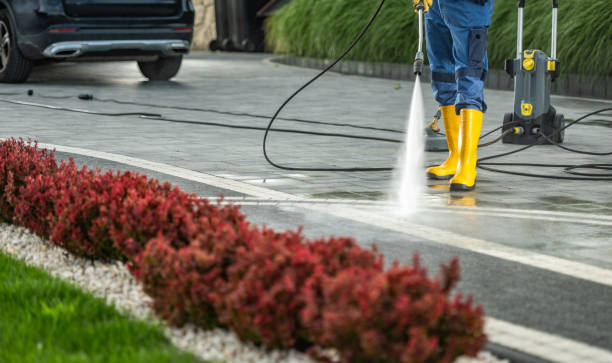 Professional Pressure Washing Services in Alexandria, VA